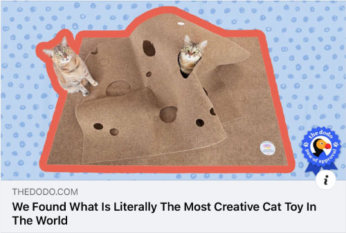 Literally The Most Creative Cat Toy In The World – Snuggly Cat